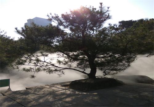 景觀(guān)造霧-園林造霧-噴霧除塵-人造霧-水霧除塵_上海霧諾環(huán)保